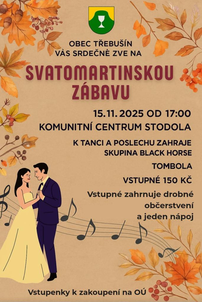 Svatomartinská zábava